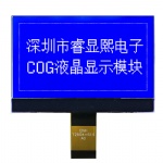 128x64 LCD Display