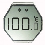 Polygon Reflective Segment LCD Display